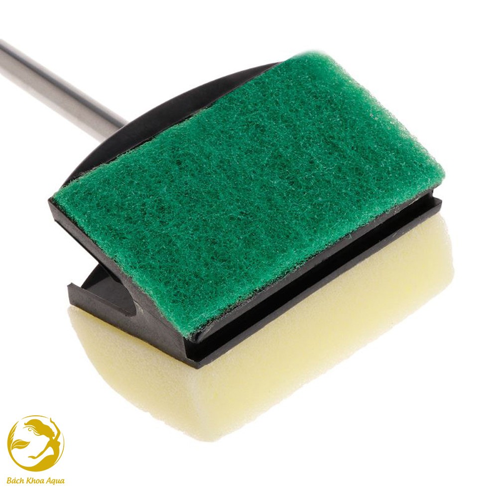 Cây cọ rêu 2 mặt vệ sinh bể cá